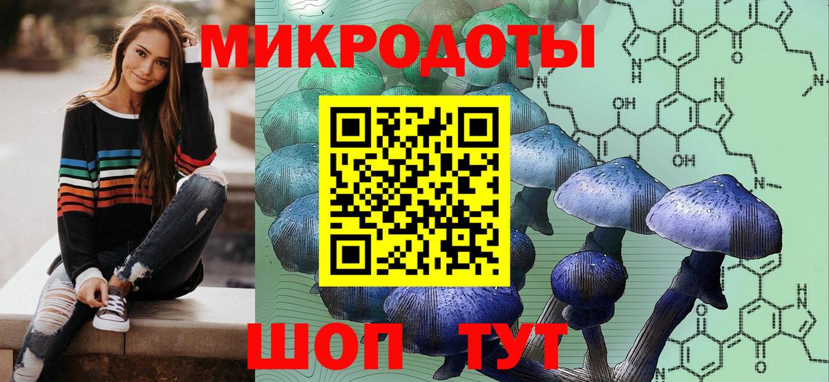 Галлюциногенные грибы Psilocybine cubensis Белореченск