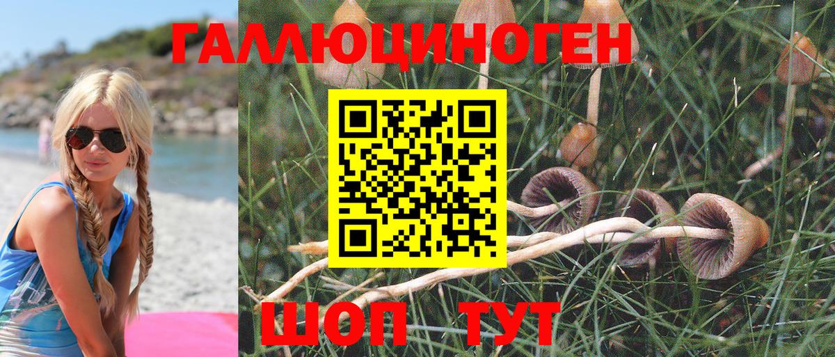 Галлюциногенные грибы Psilocybine cubensis  Вход с VPN  наркота  Белореченск 